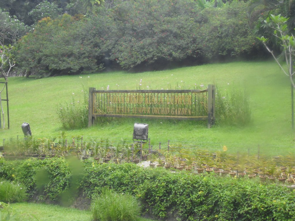 Image CIMG4859.JPG