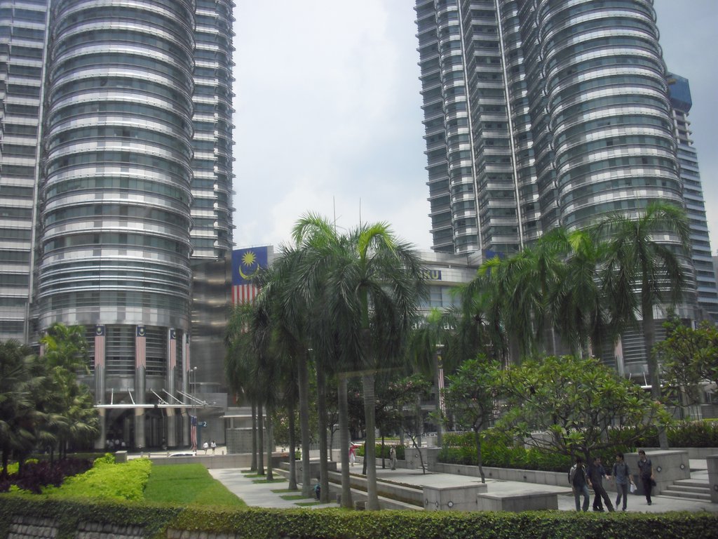 Image CIMG4885.JPG