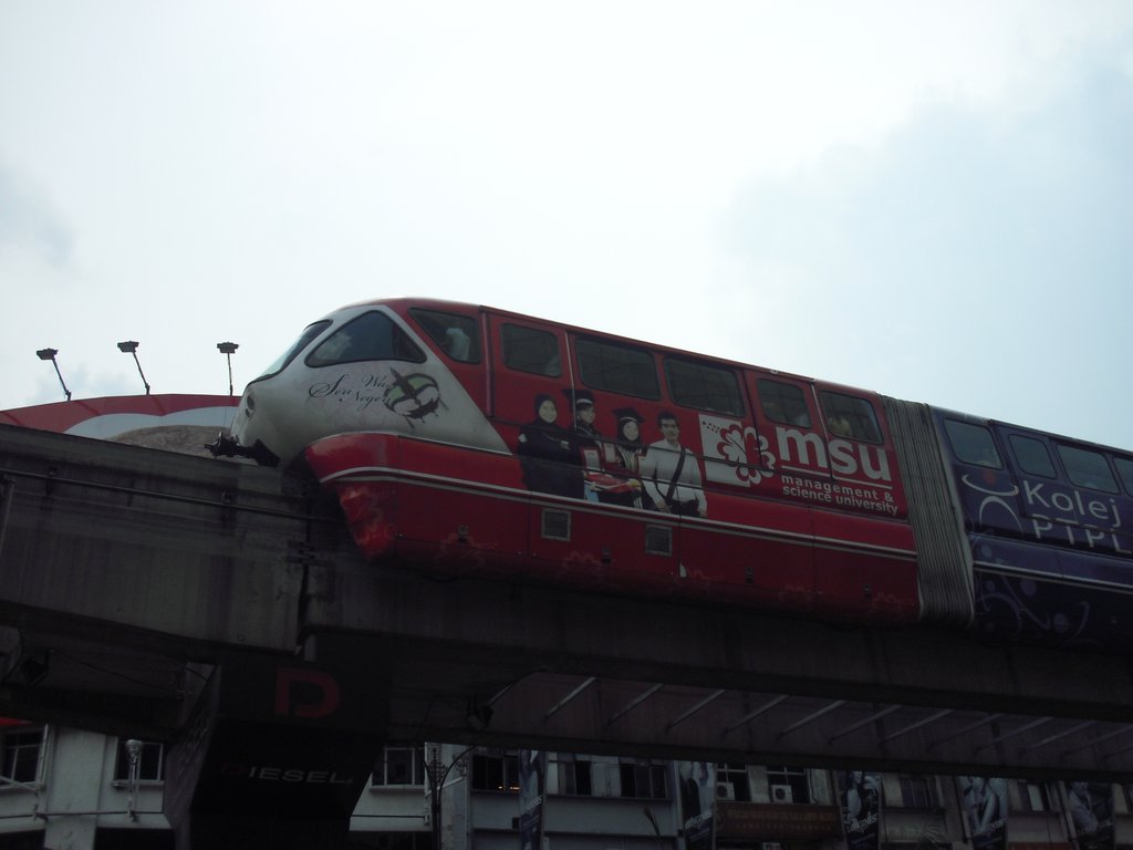 Image CIMG4898.JPG