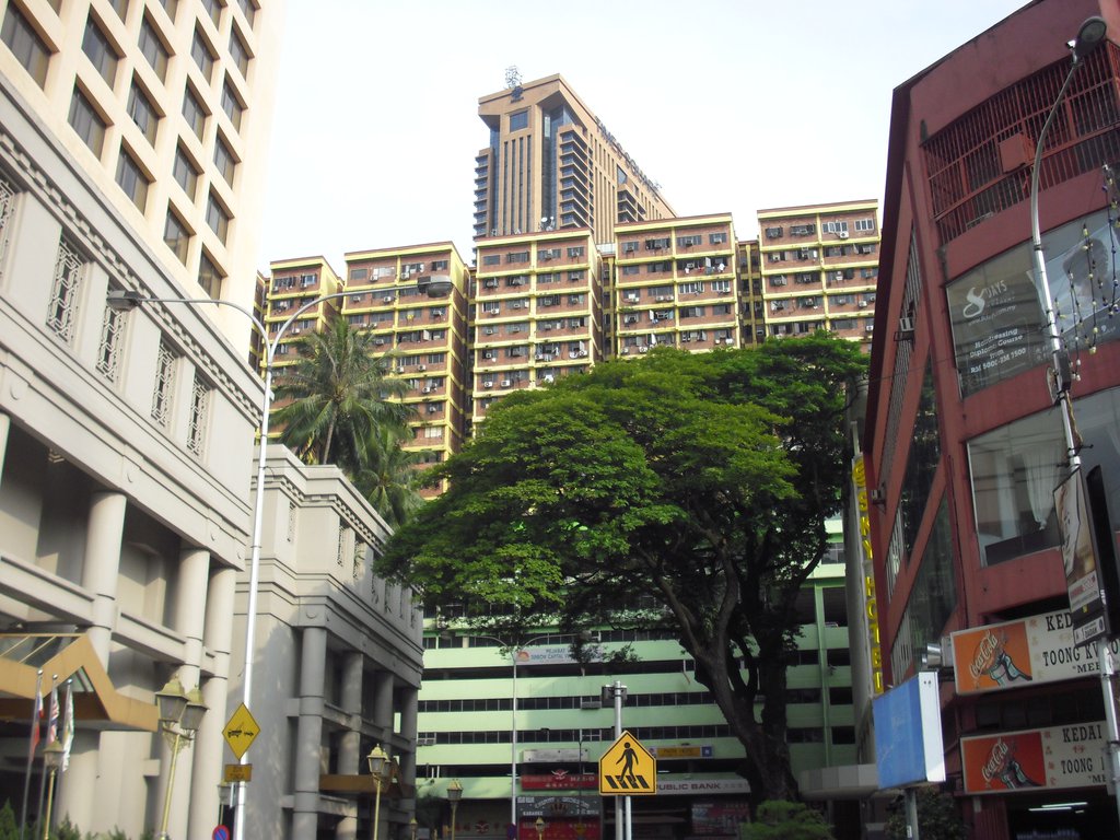 Image CIMG4907.JPG