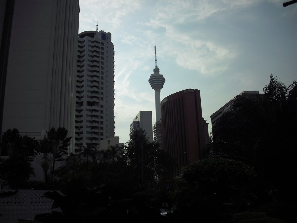 Image CIMG4911.JPG