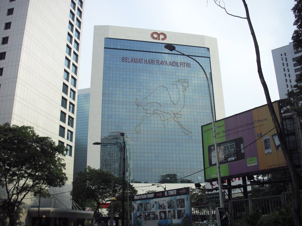 Image CIMG4915.JPG