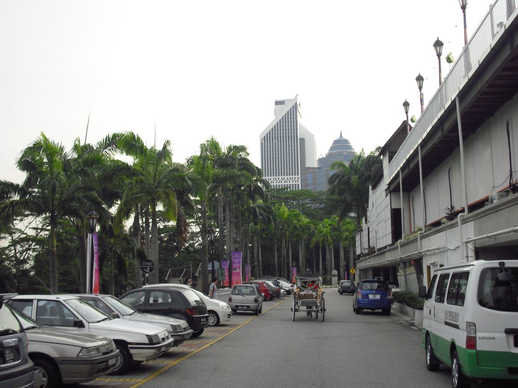 Image CIMG4919.JPG