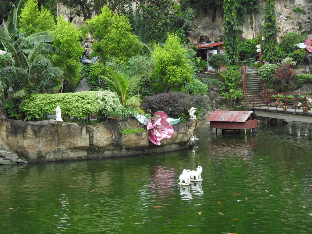 Image CIMG5002.JPG
