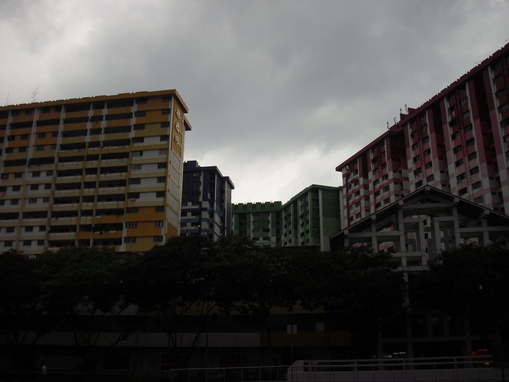 Image CIMG5060.JPG