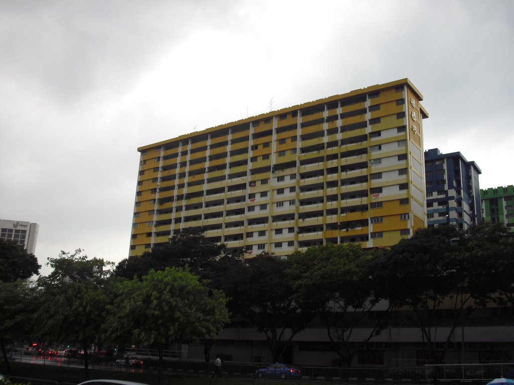Image CIMG5061.JPG