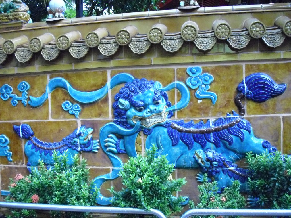 Image CIMG5071.JPG
