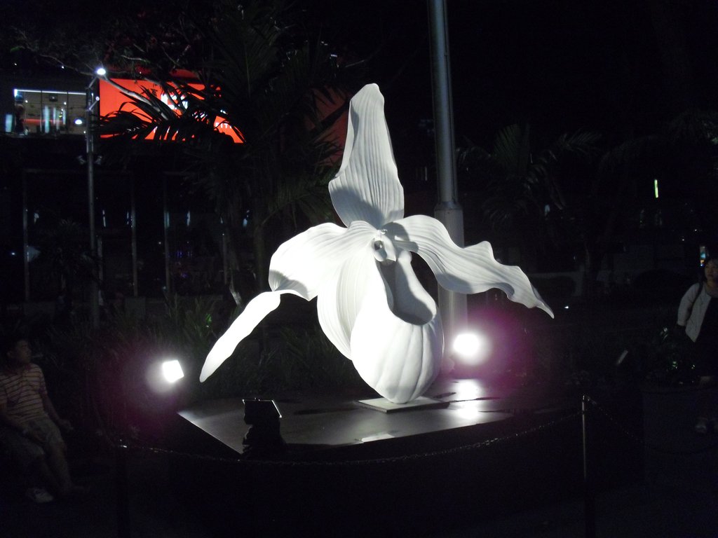 Image CIMG5098.JPG