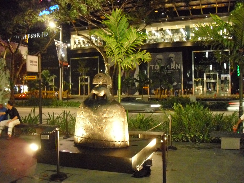 Image CIMG5099.JPG