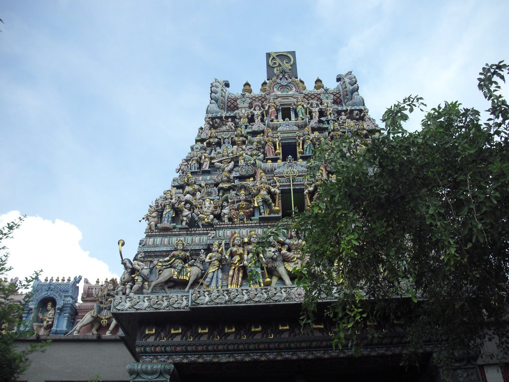 Image CIMG5106.JPG