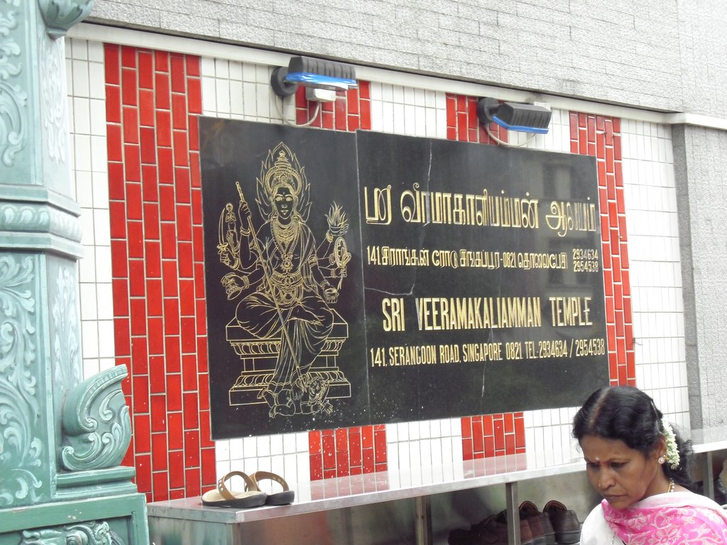 Image CIMG5108.JPG