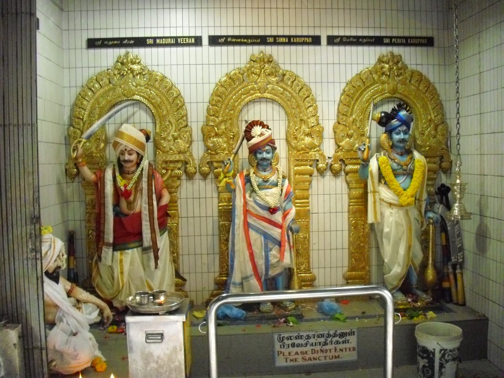 Image CIMG5111.JPG