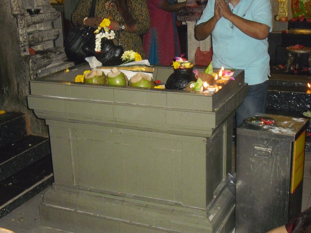 Image CIMG5117.JPG