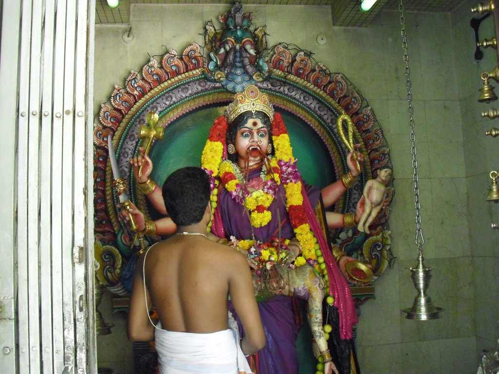 Image CIMG5121.JPG