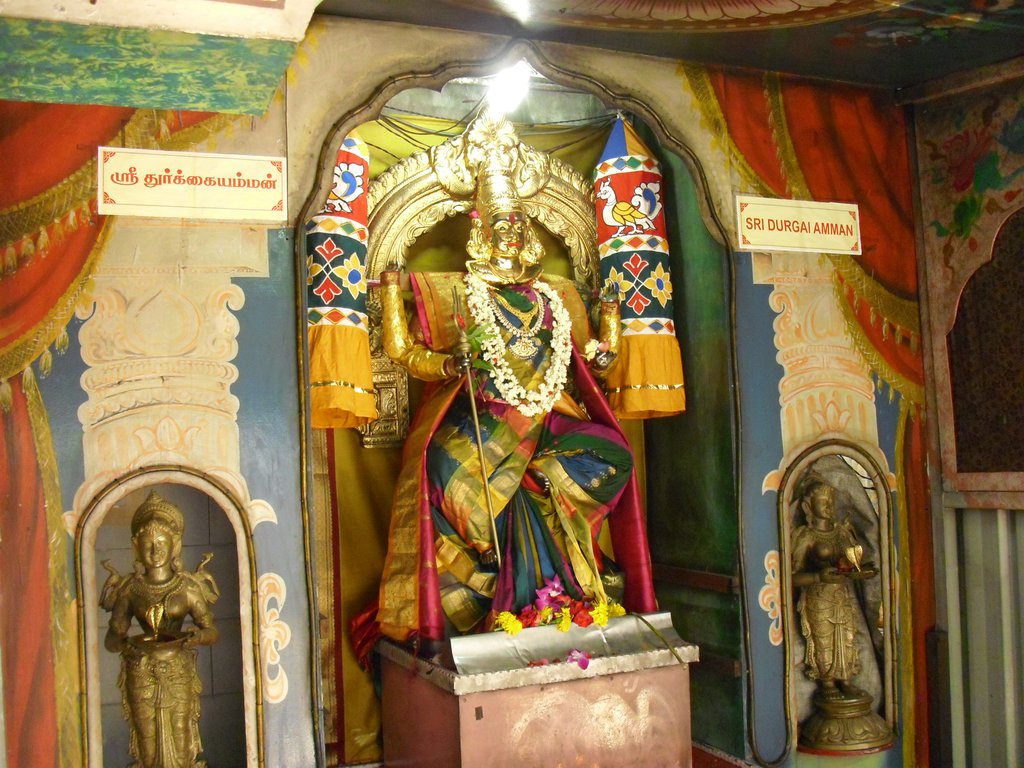 Image CIMG5123.JPG