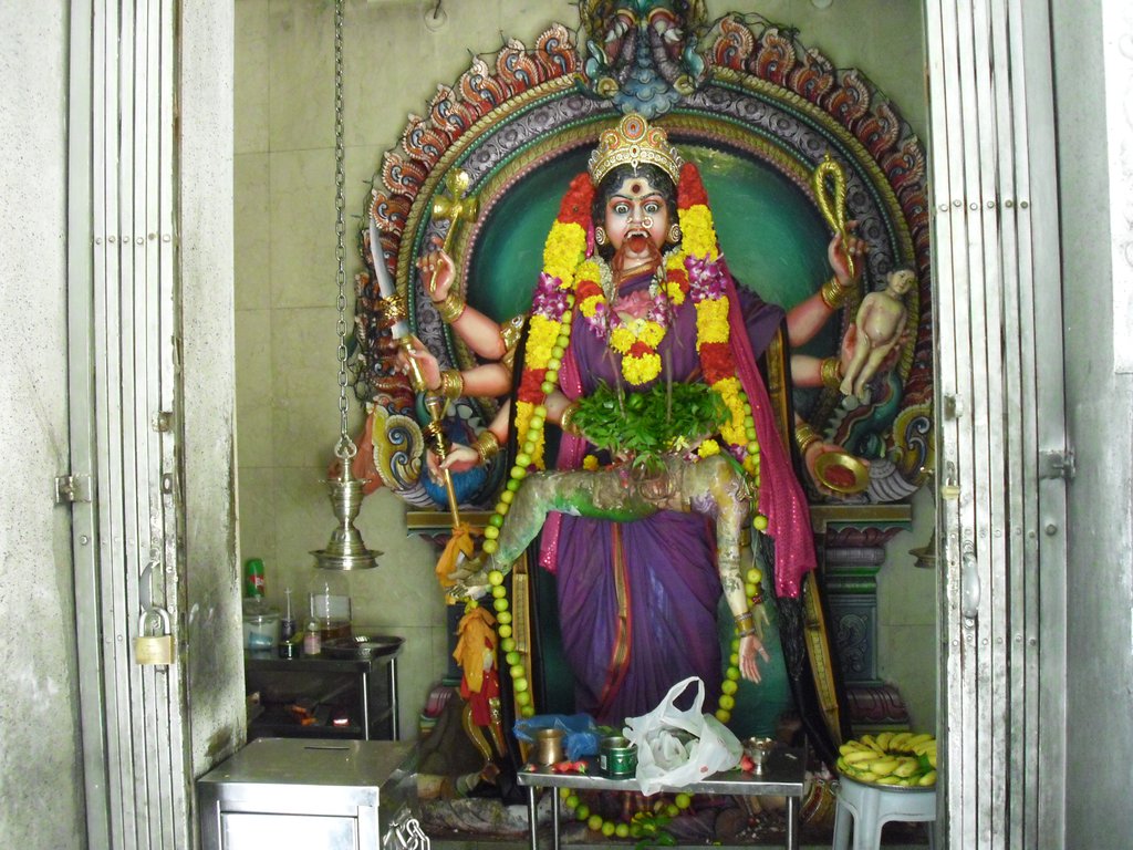Image CIMG5124.JPG