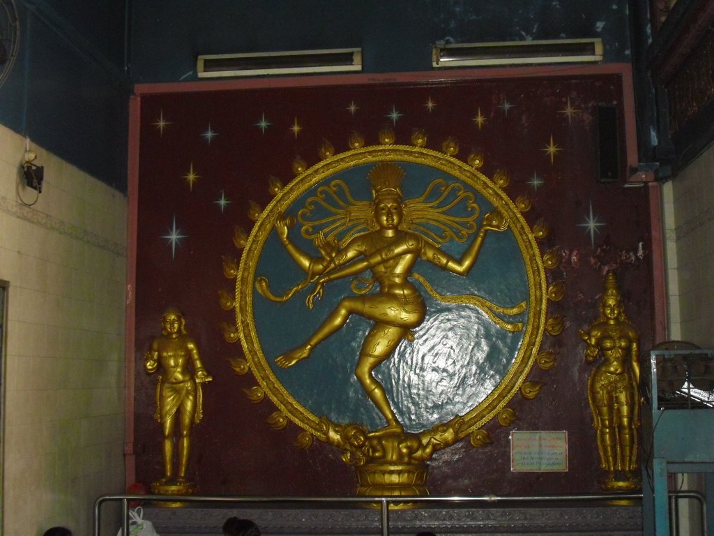 Image CIMG5125.JPG