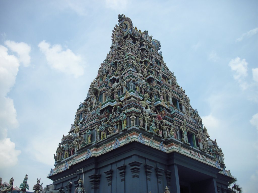Image CIMG5129.JPG