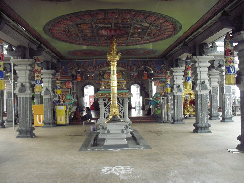 Image CIMG5132.JPG