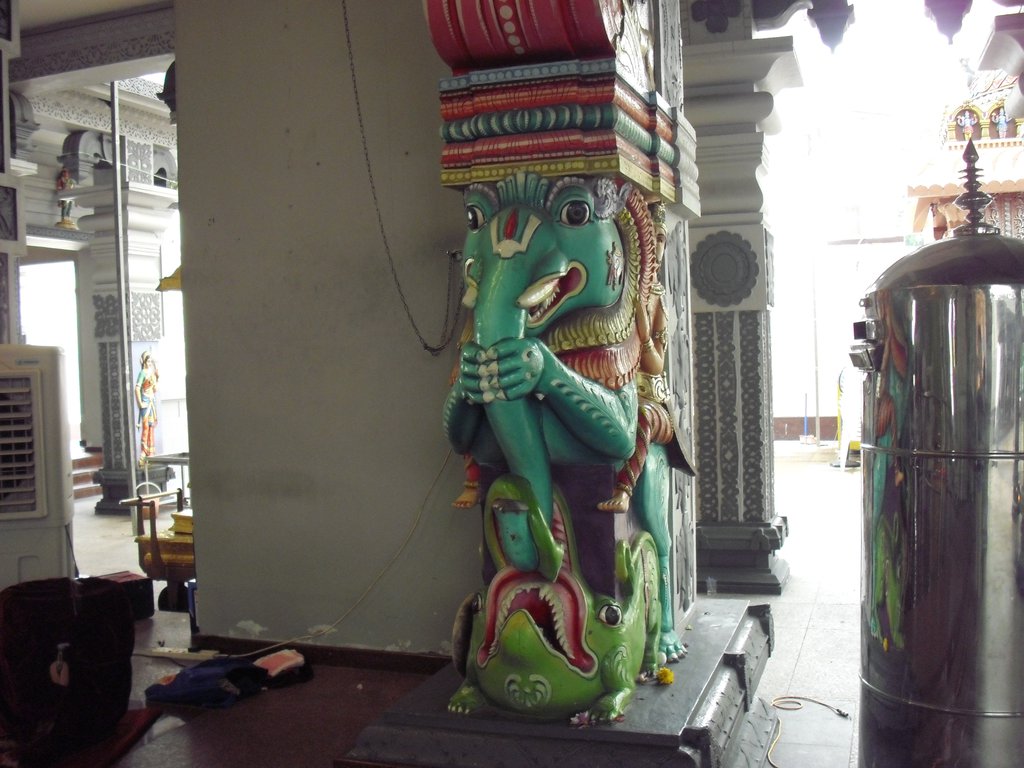 Image CIMG5134.JPG