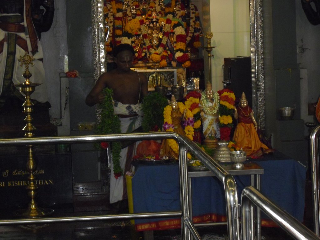 Image CIMG5136.JPG
