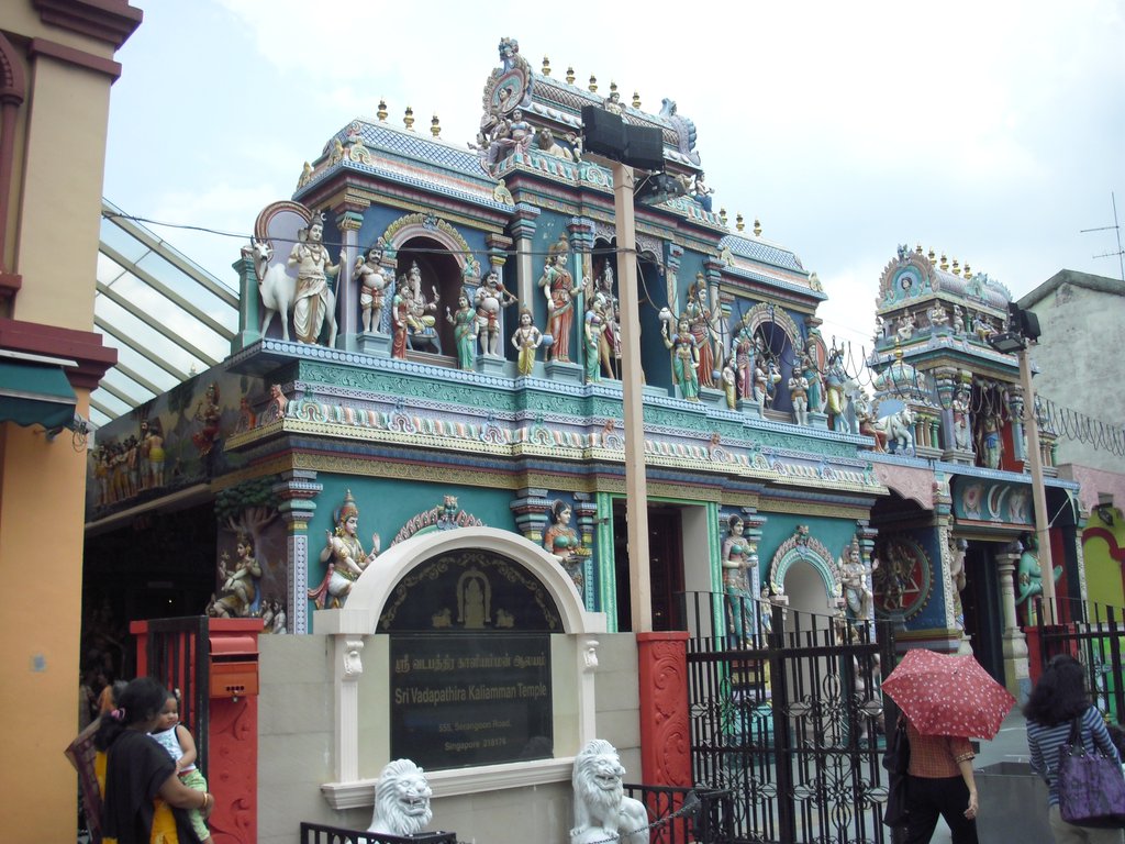 Image CIMG5137.JPG