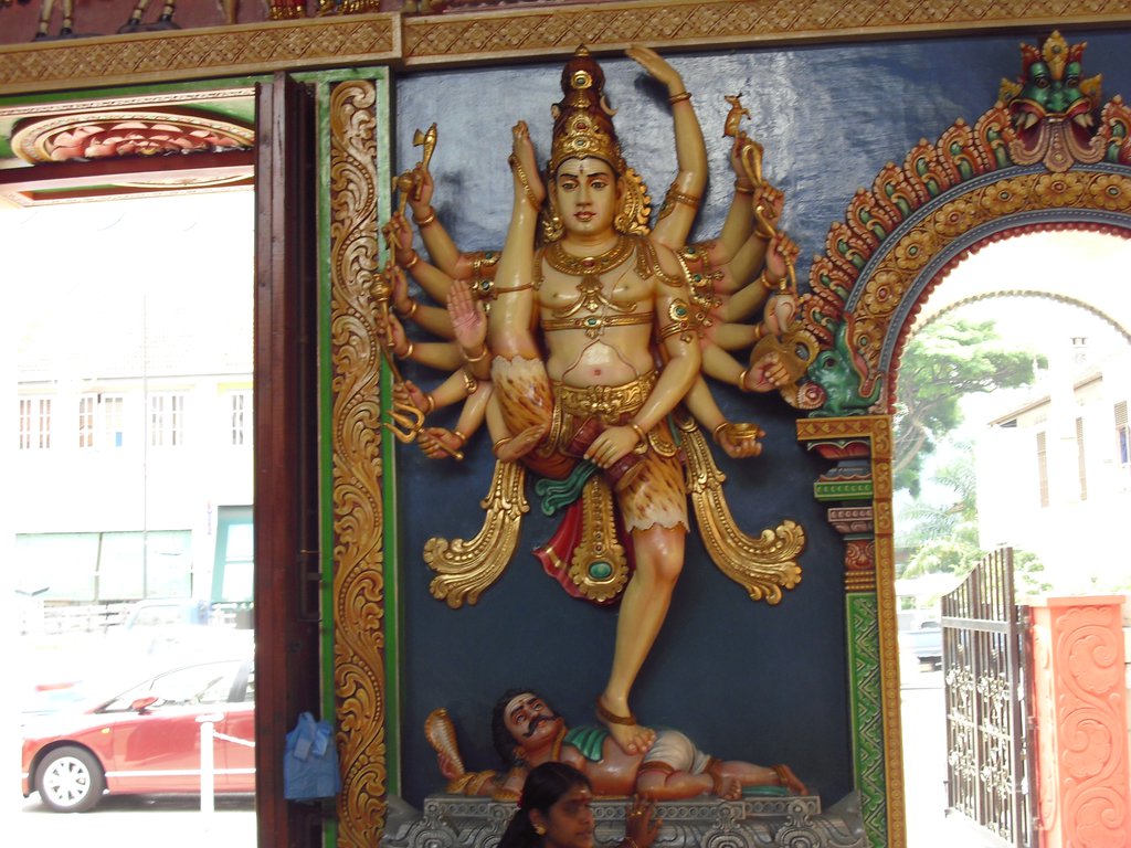 Image CIMG5142.JPG