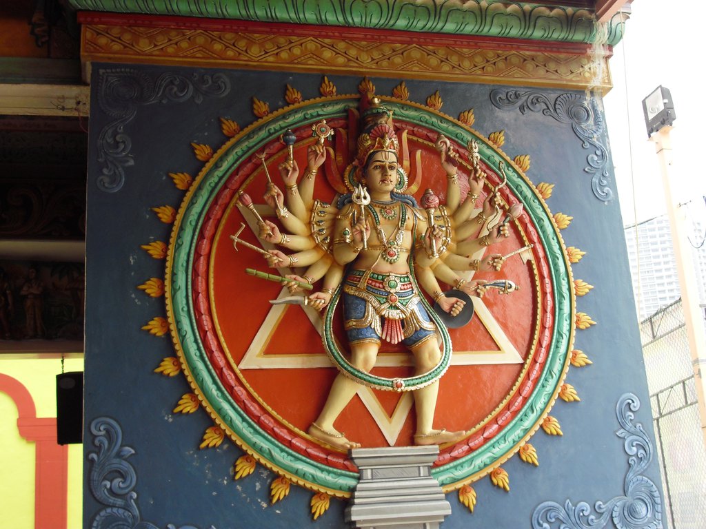 Image CIMG5144.JPG