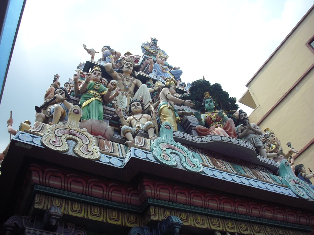 Image CIMG5146.JPG