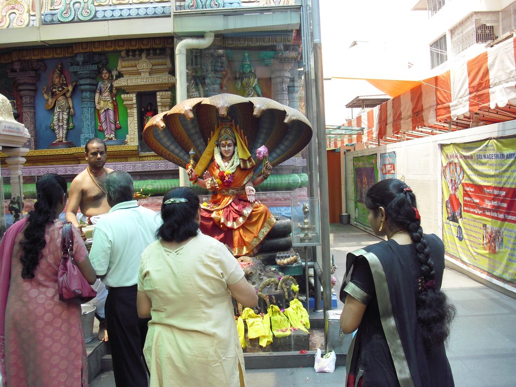 Image CIMG5147.JPG