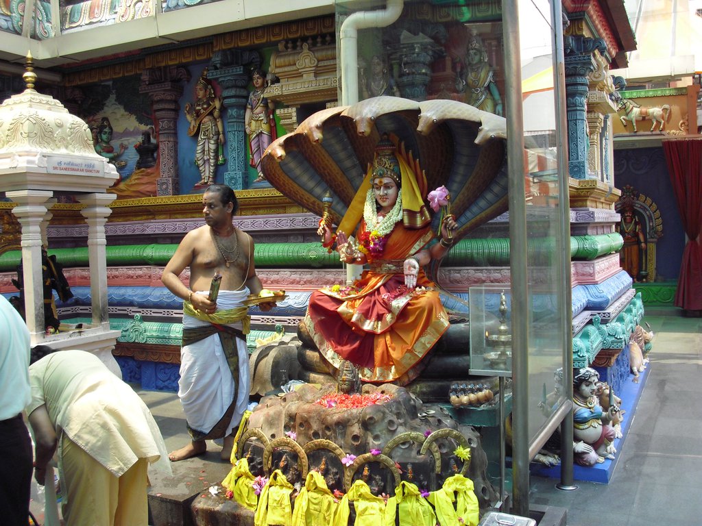 Image CIMG5149.JPG