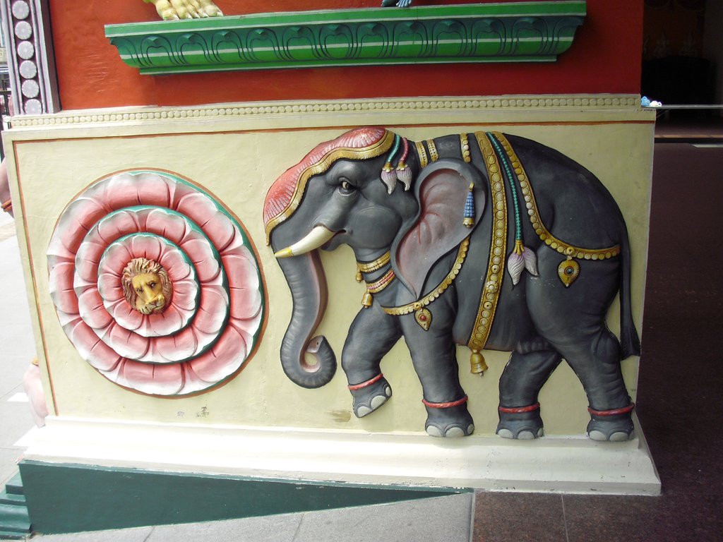 Image CIMG5152.JPG