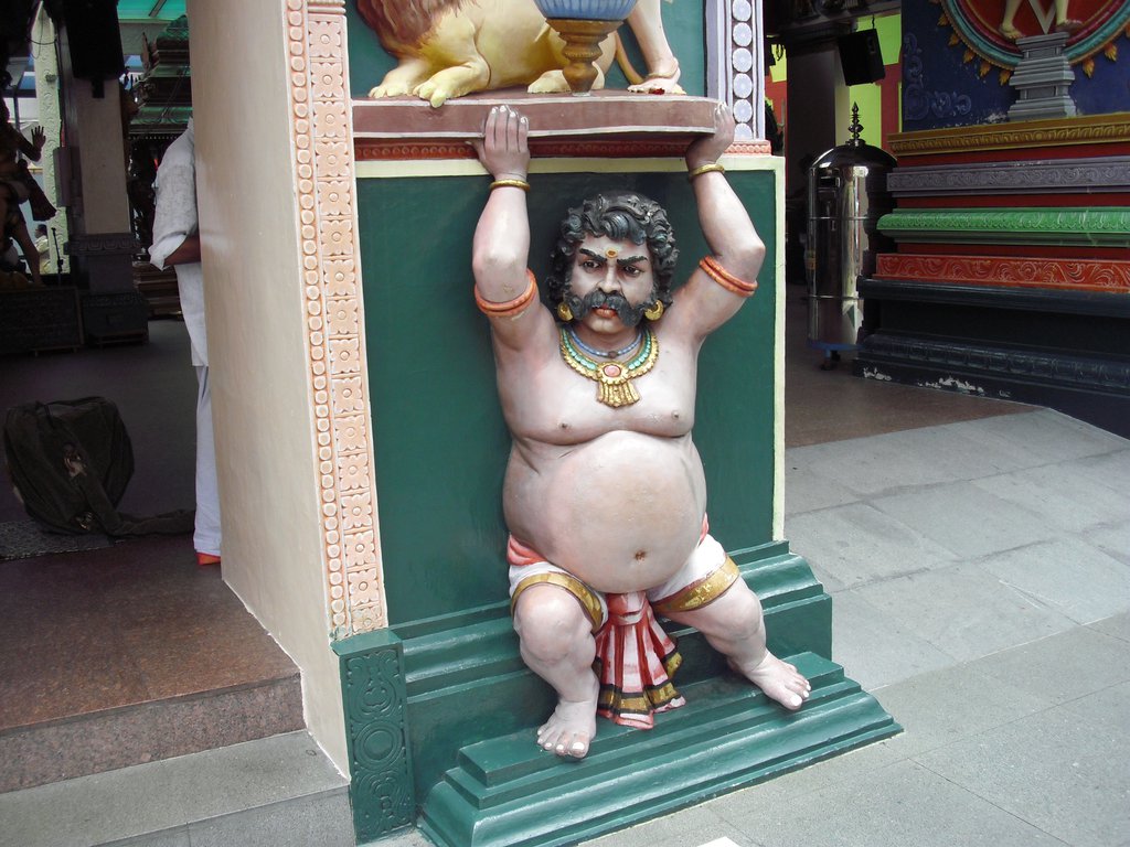 Image CIMG5153.JPG