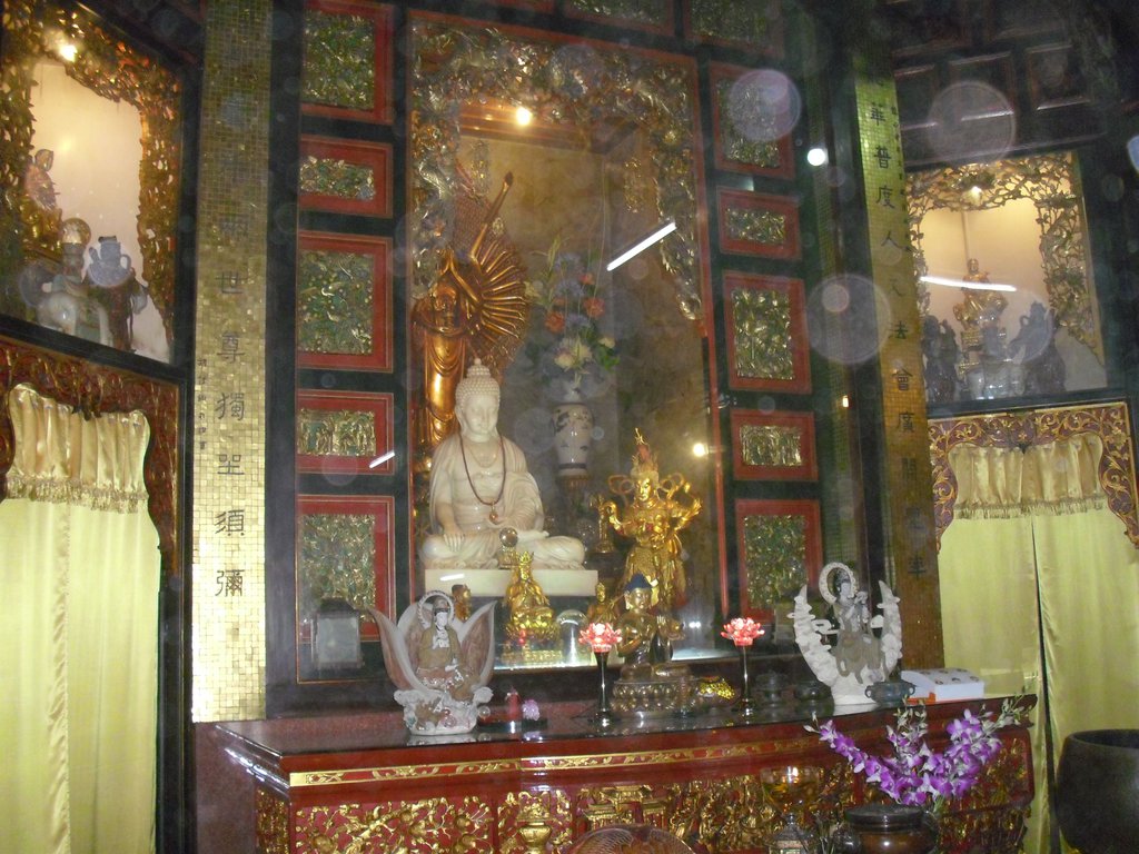 Image CIMG5160.JPG
