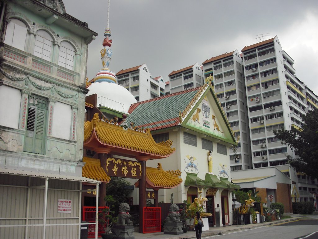 Image CIMG5165.JPG