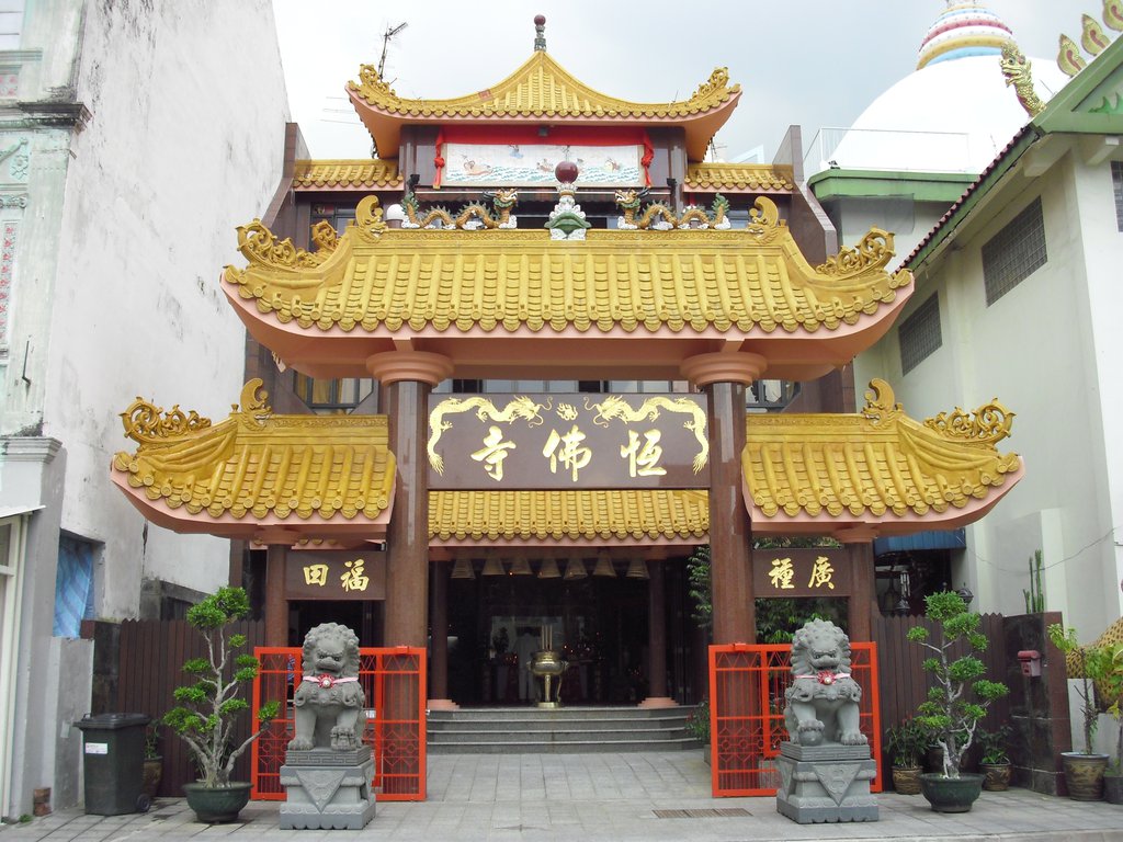 Image CIMG5166.JPG