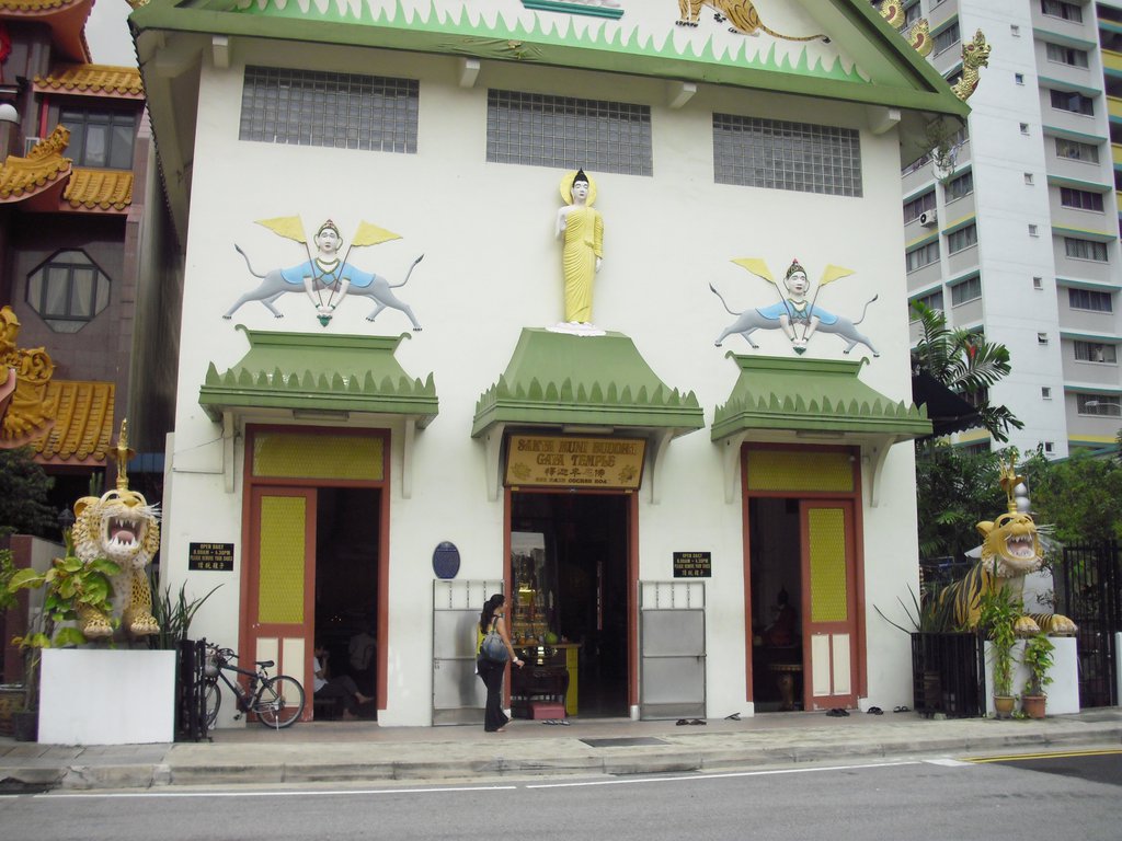 Image CIMG5167.JPG
