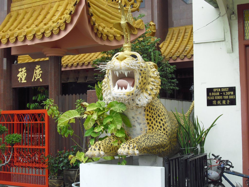 Image CIMG5168.JPG