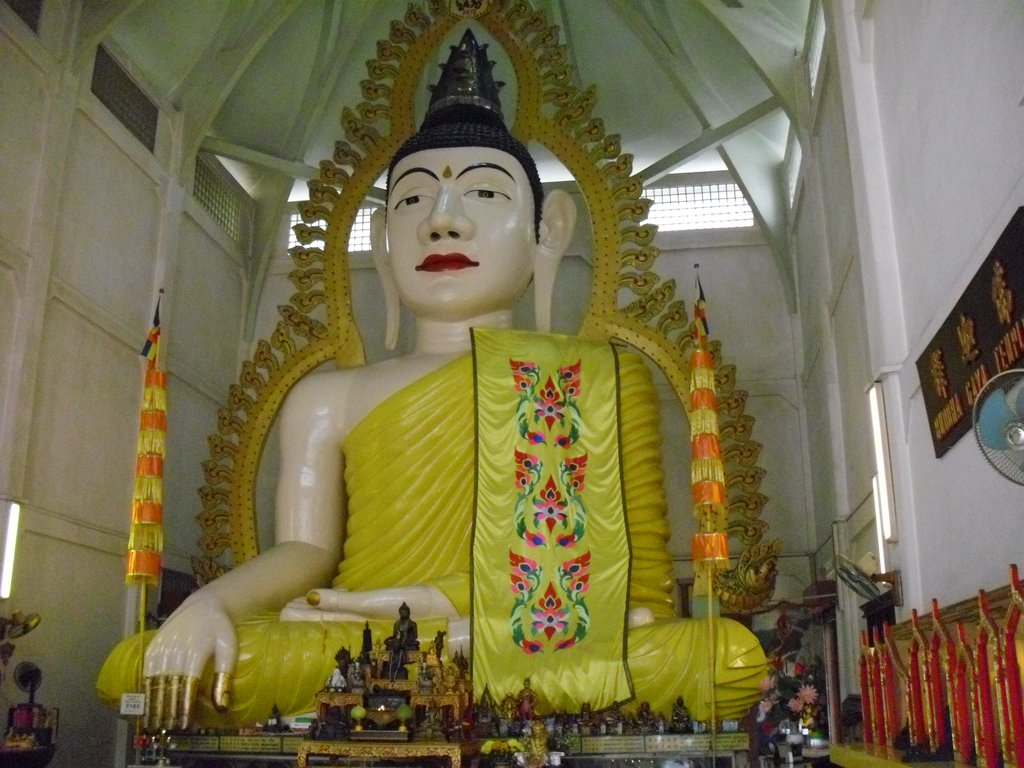 Image CIMG5172.JPG