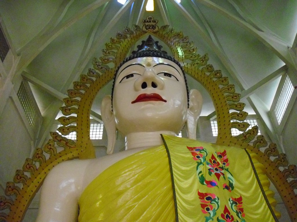 Image CIMG5174.JPG