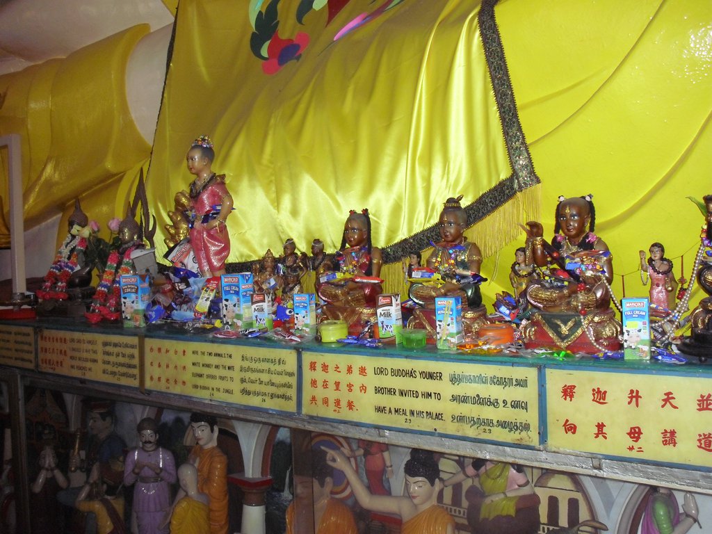 Image CIMG5175.JPG