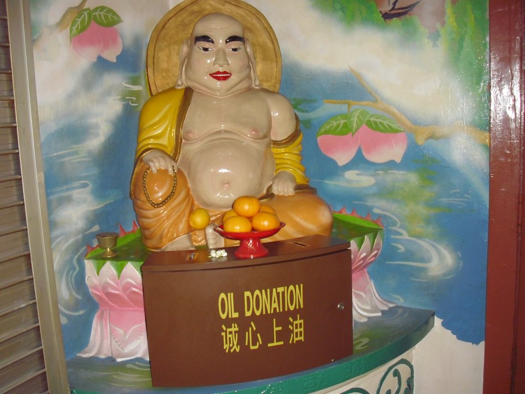 Image CIMG5176.JPG