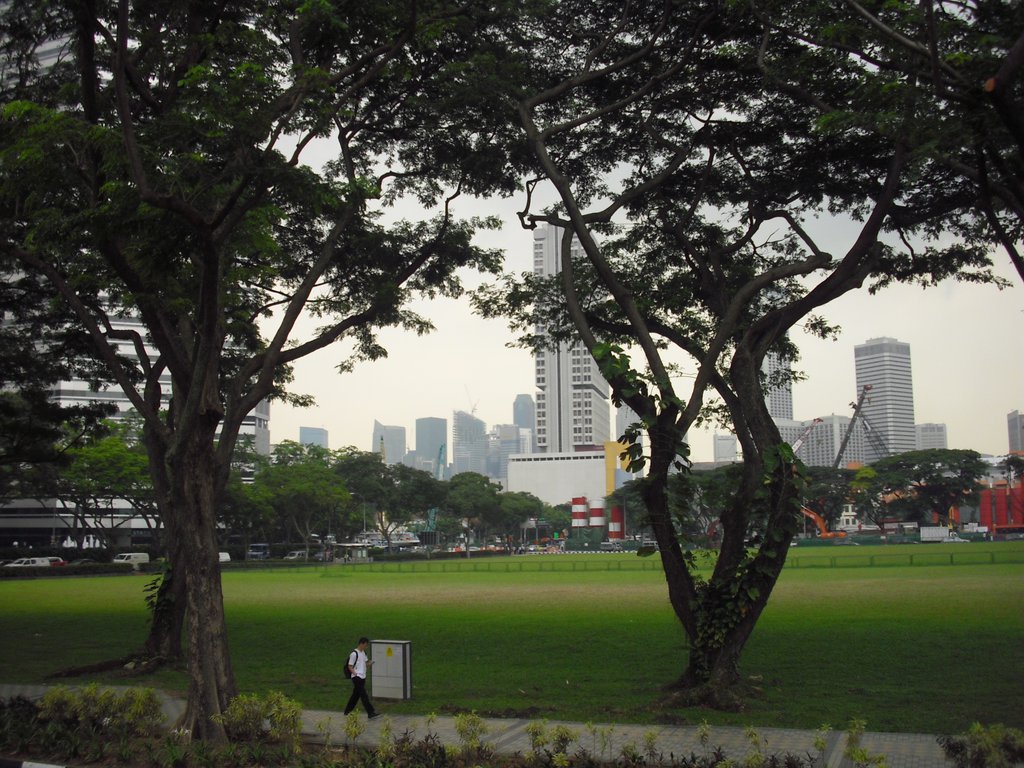 Image CIMG5179.JPG