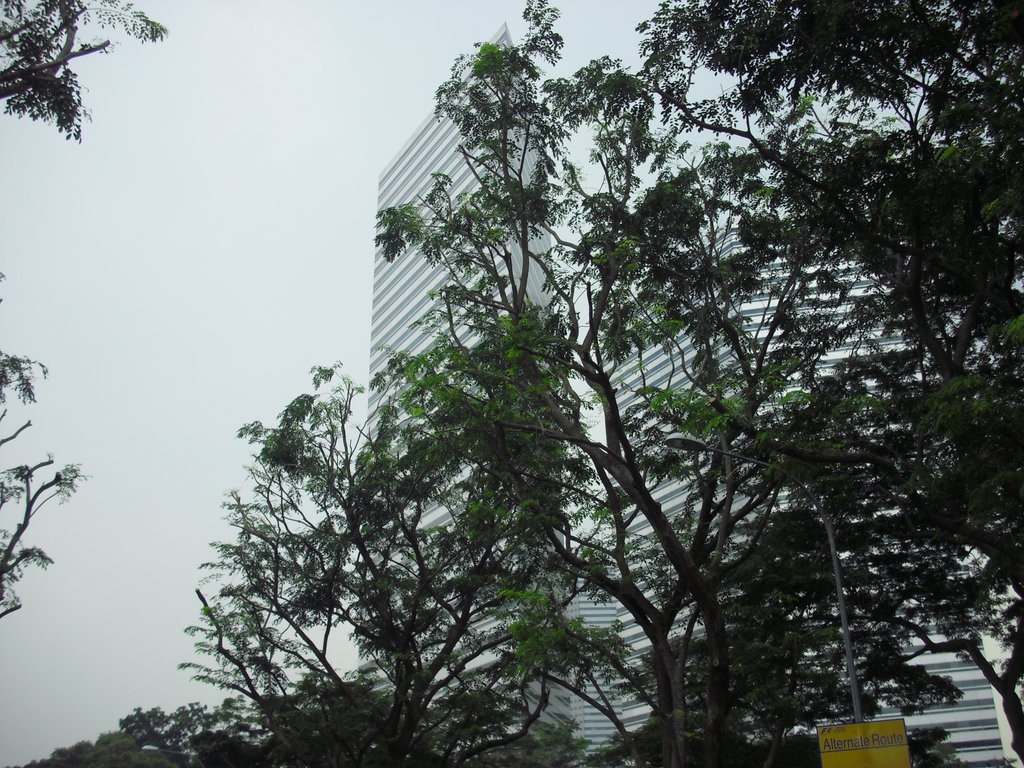Image CIMG5182.JPG