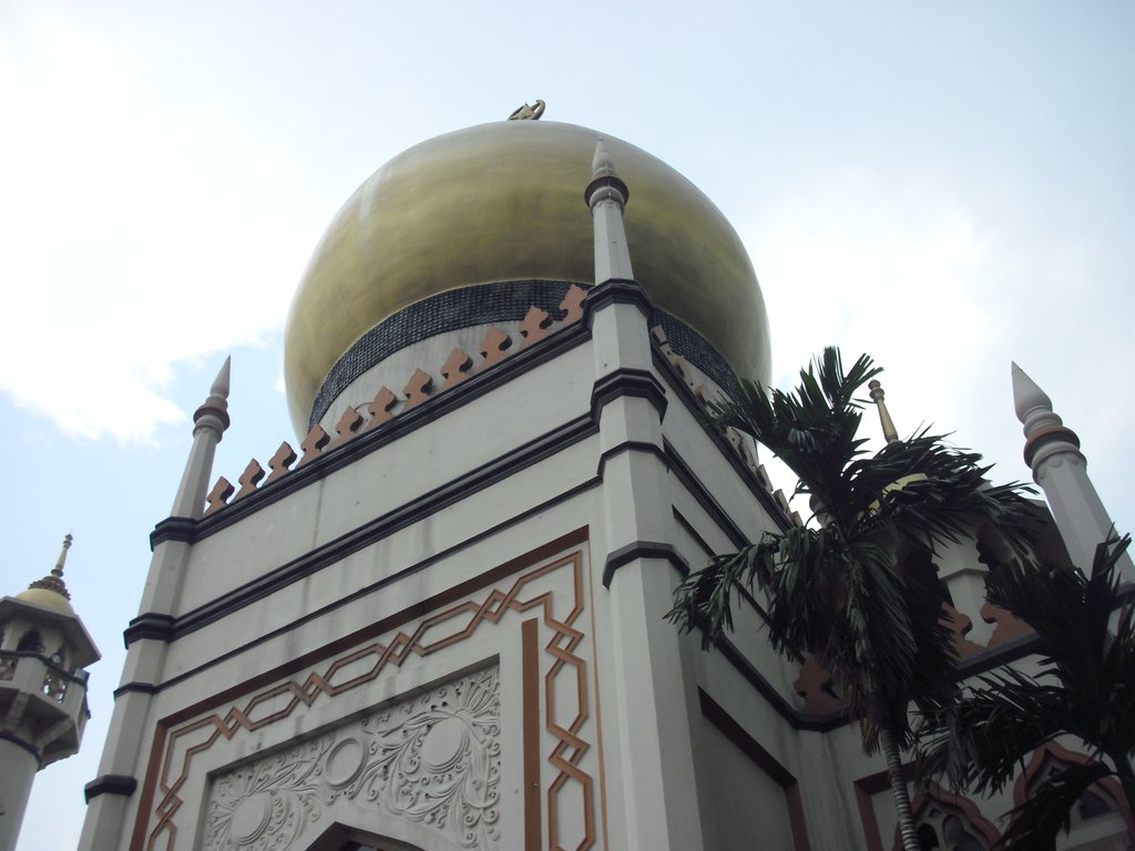 Image CIMG5186.JPG