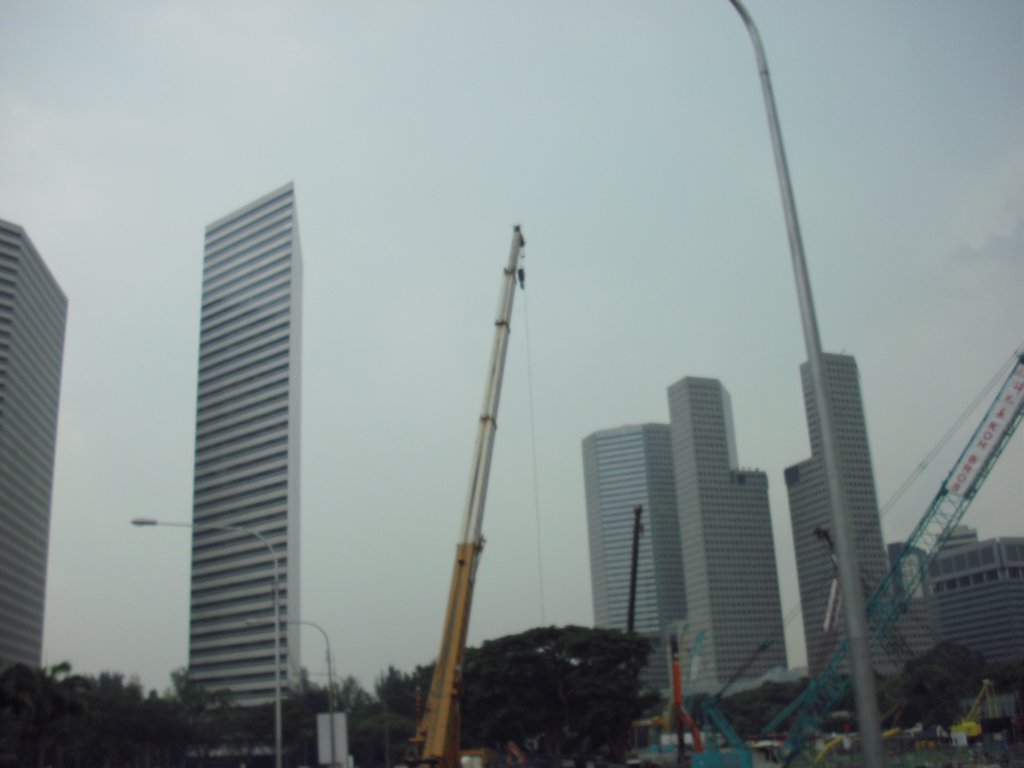 Image CIMG5189.JPG