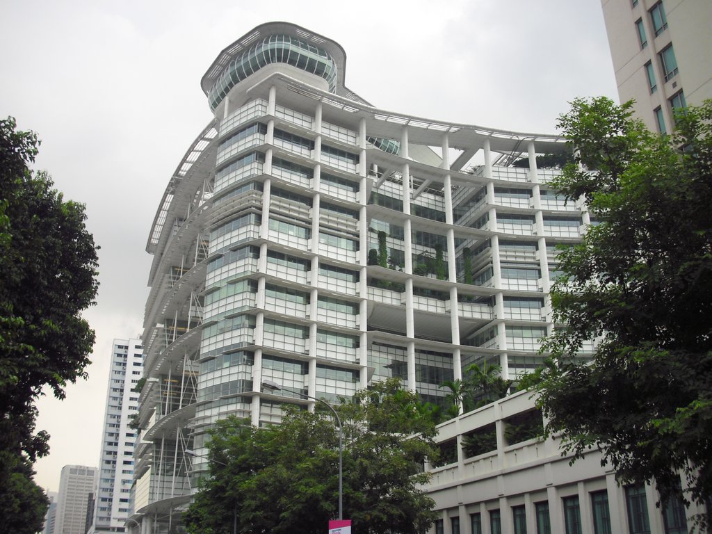 Image CIMG5190.JPG