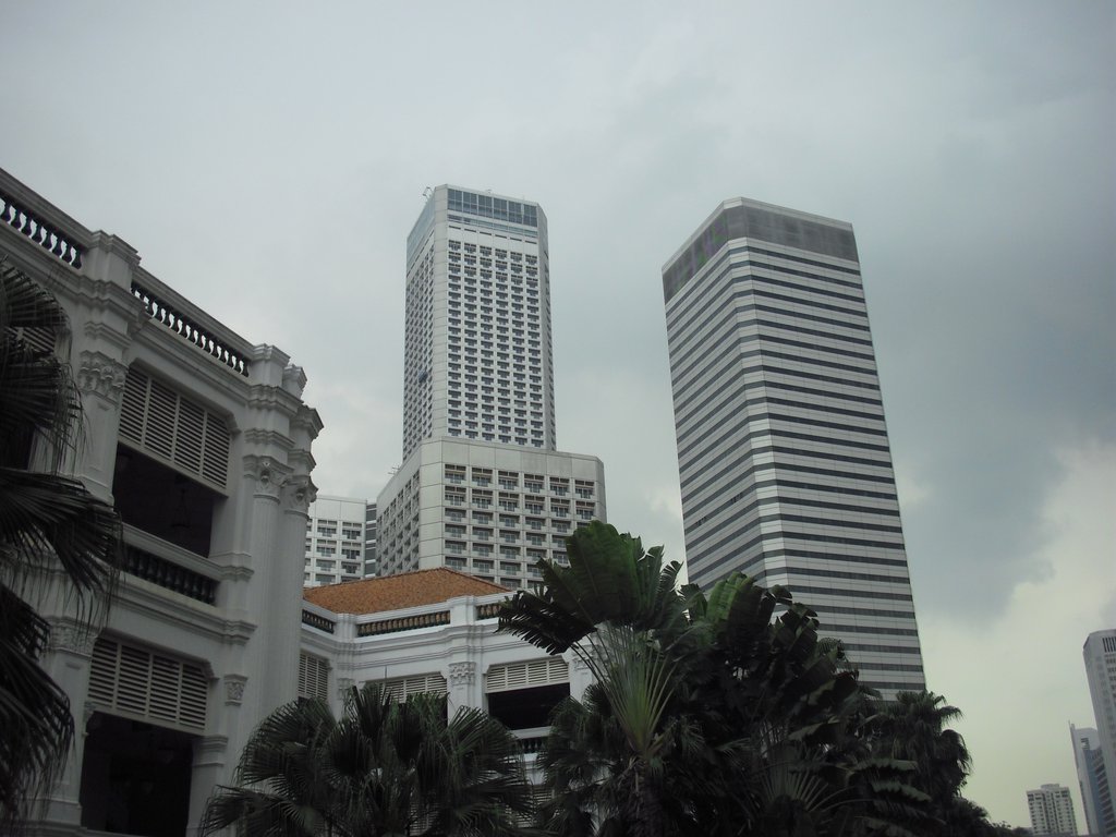 Image CIMG5191.JPG