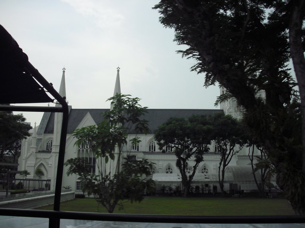 Image CIMG5194.JPG