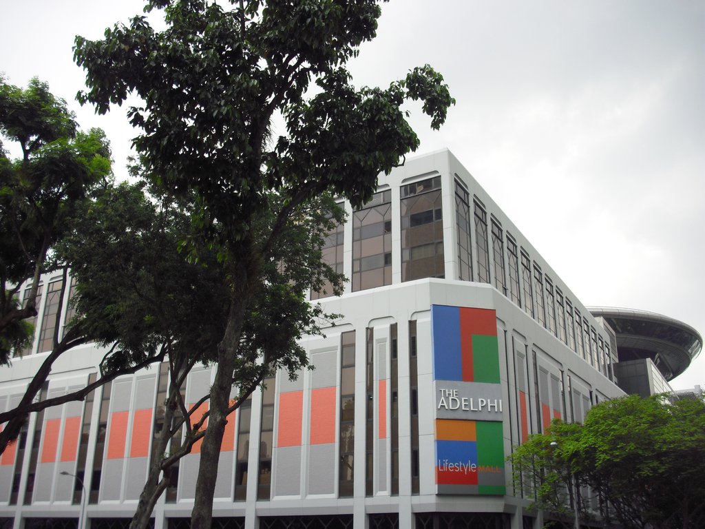 Image CIMG5195.JPG
